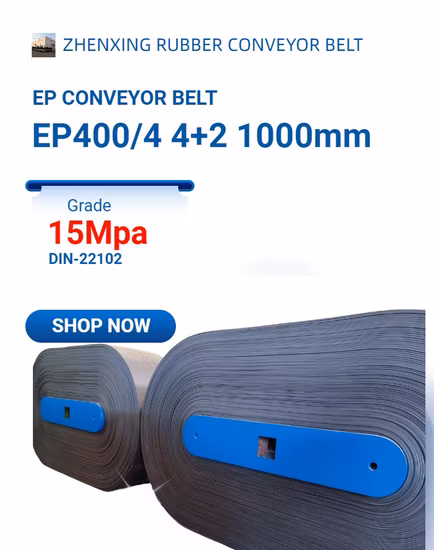 Nn/EP/cordon d'acier/haute température/résistance à la chaleur/résistant au feu/résistant à l'huile/résistant à la déchirure/résistant à l'usure de la courroie du convoyeur en caoutchouc pour l'industrie